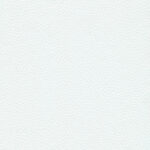 Ice 03 | Borys