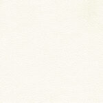 Ivory 04 | Borys