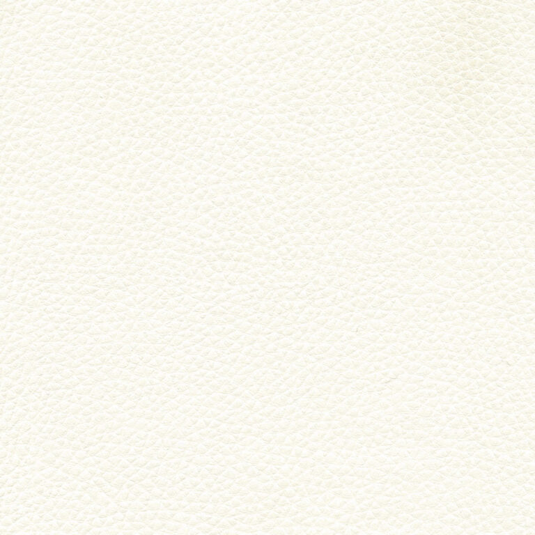 Ivory 04