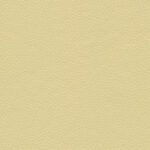 Beige 07 | Borys
