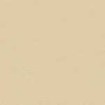 Putty 08 | Borys