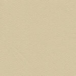 Sesame 12 | Borys