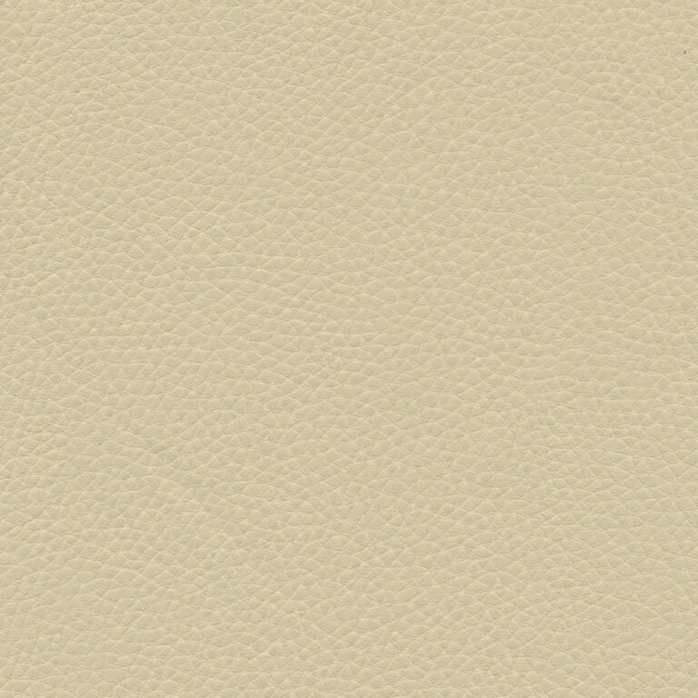 Sesame 12