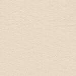 Taupe 13 | Borys
