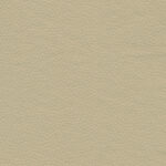 Seagrass 14 | Borys