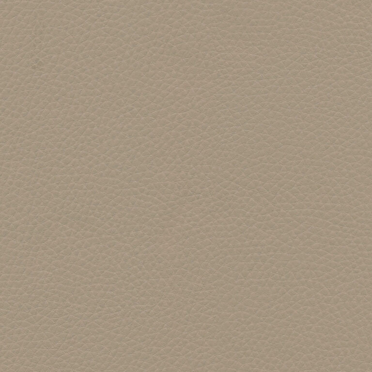 Fossil 18