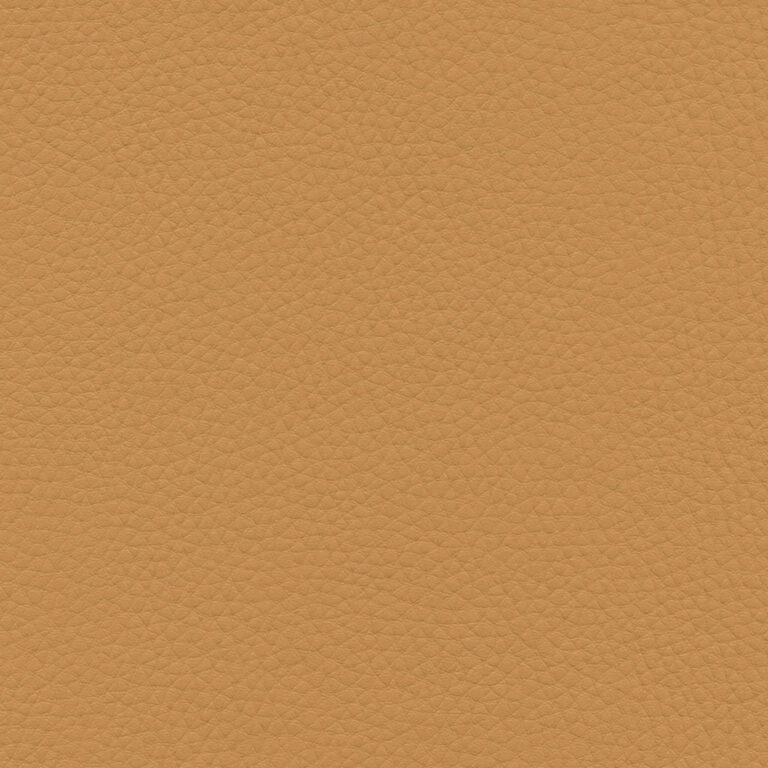Macaroon 20