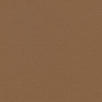 Roebuck 23 | Borys