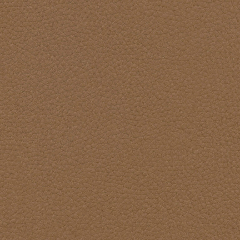 Roebuck 23