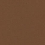 Cocoa 25 | Borys