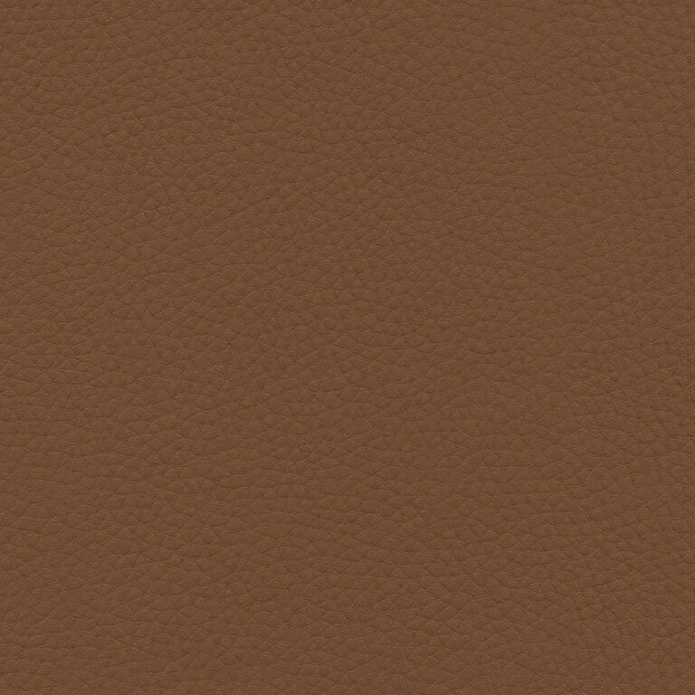 Cocoa 25