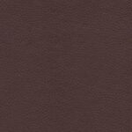 Chestnut 27 | Borys
