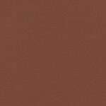 Russet 31 | Borys