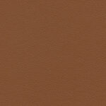 Sienna 32 | Borys
