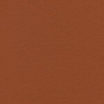 Brandy 33 | Borys