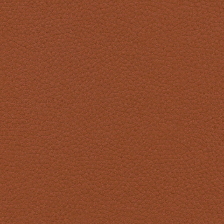 Brandy 33