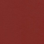 Brick 34 | Borys