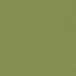 Pesto 38 | Borys