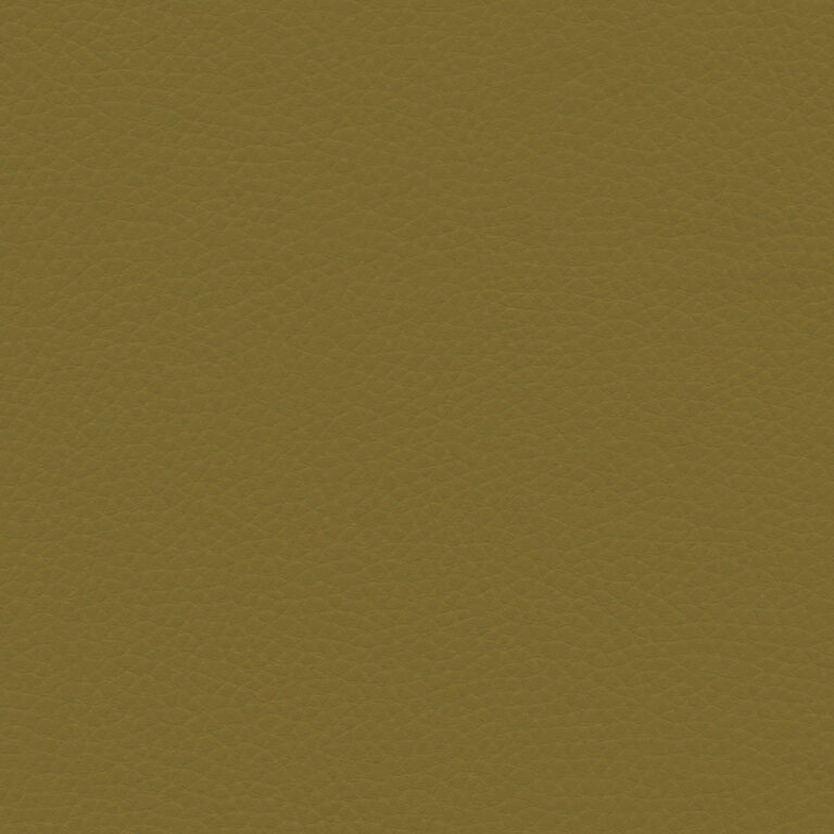 Olive 39