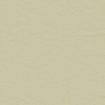 Sage 42 | Borys