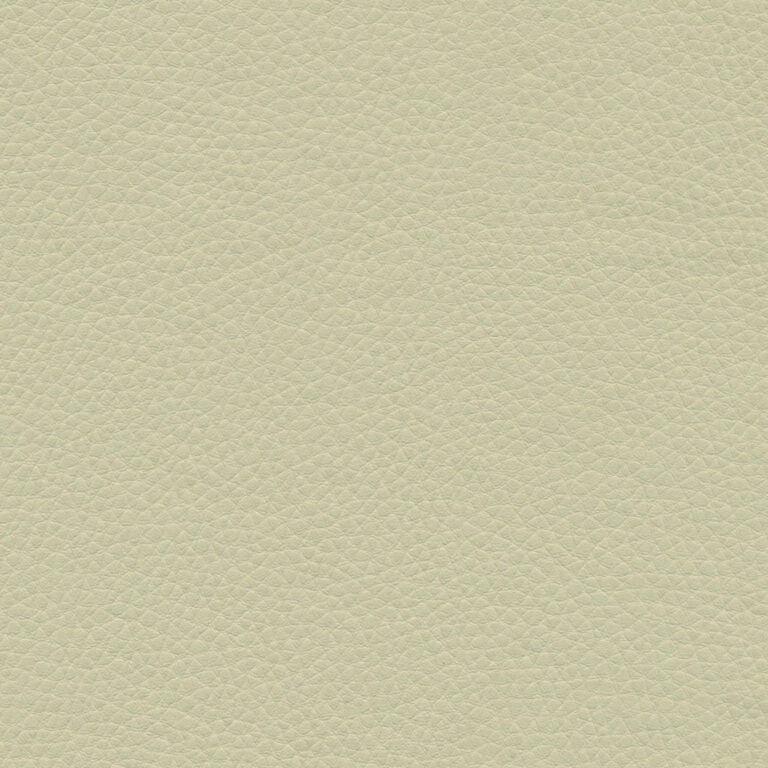 Sage 42