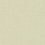 Eucalyptus 43 | Borys