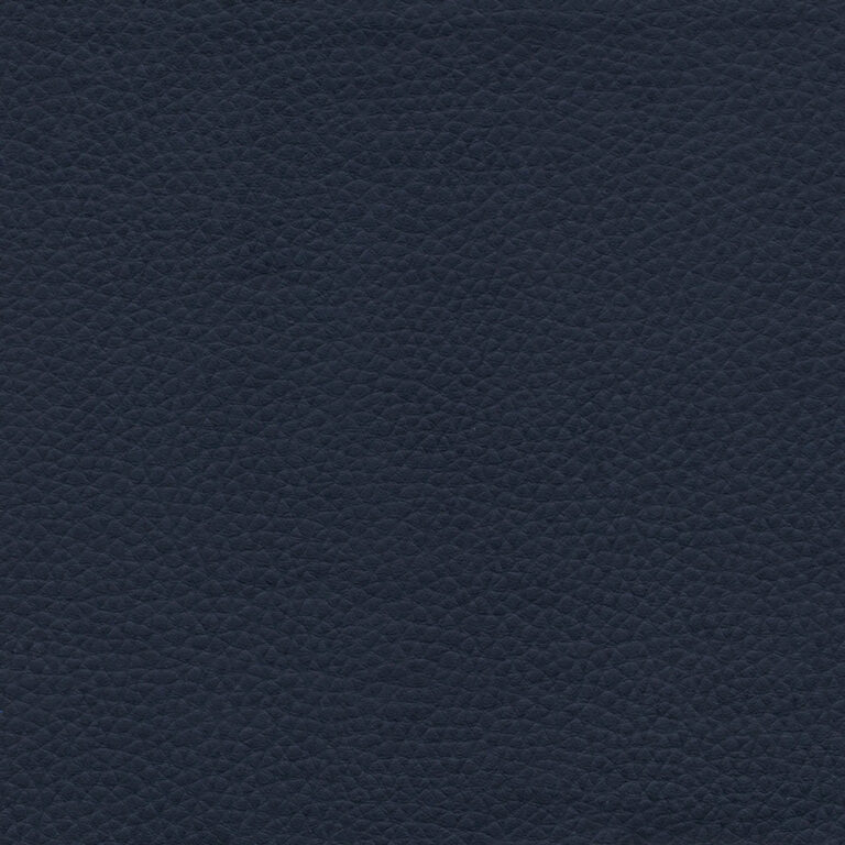 Navy 50