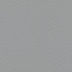 Elephant 58 | Borys