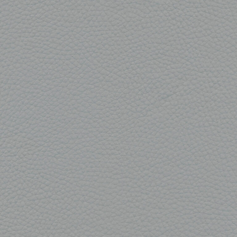 Elephant 58