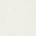 Birch 60 | Borys