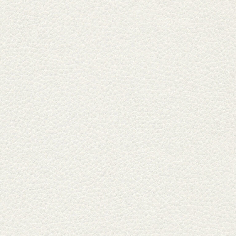 Birch 60