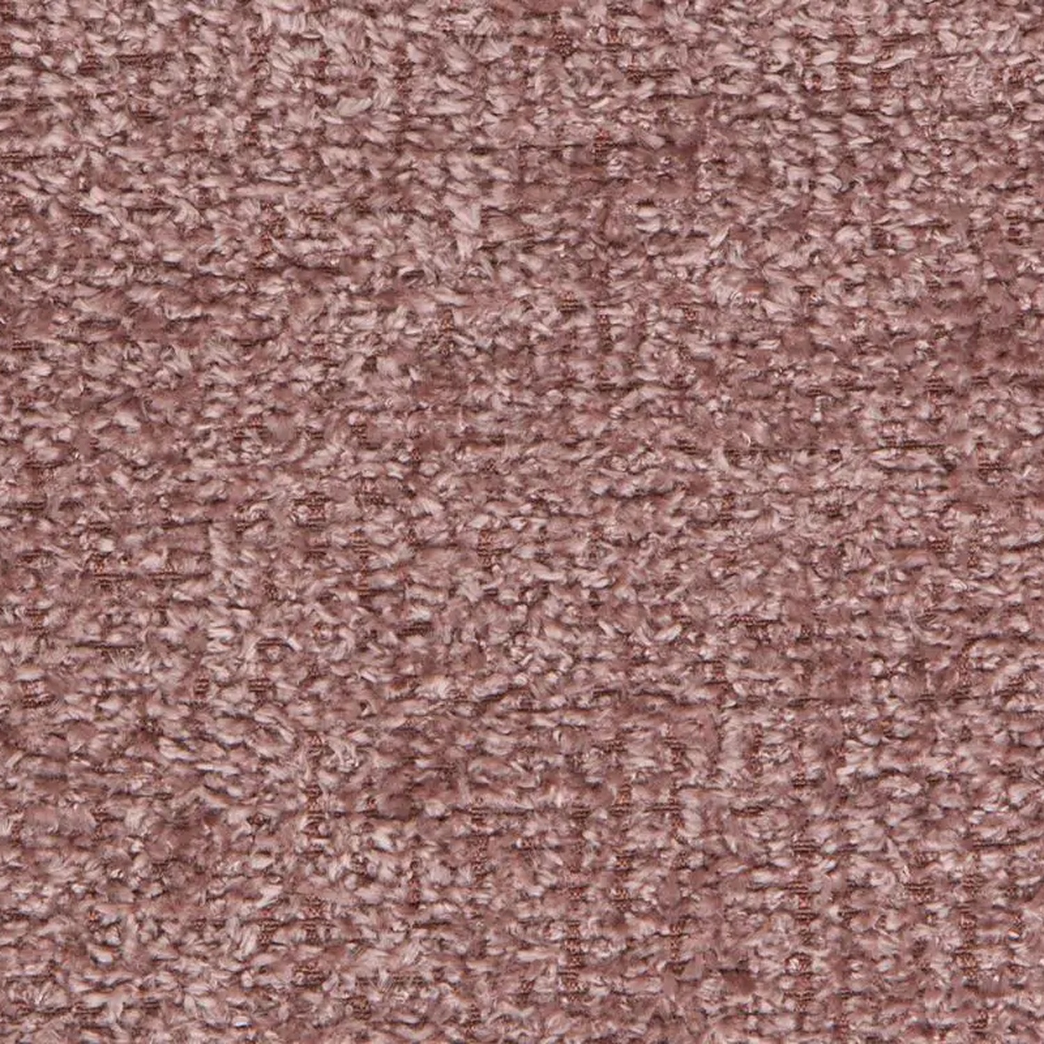 Lilac 33 | Breve