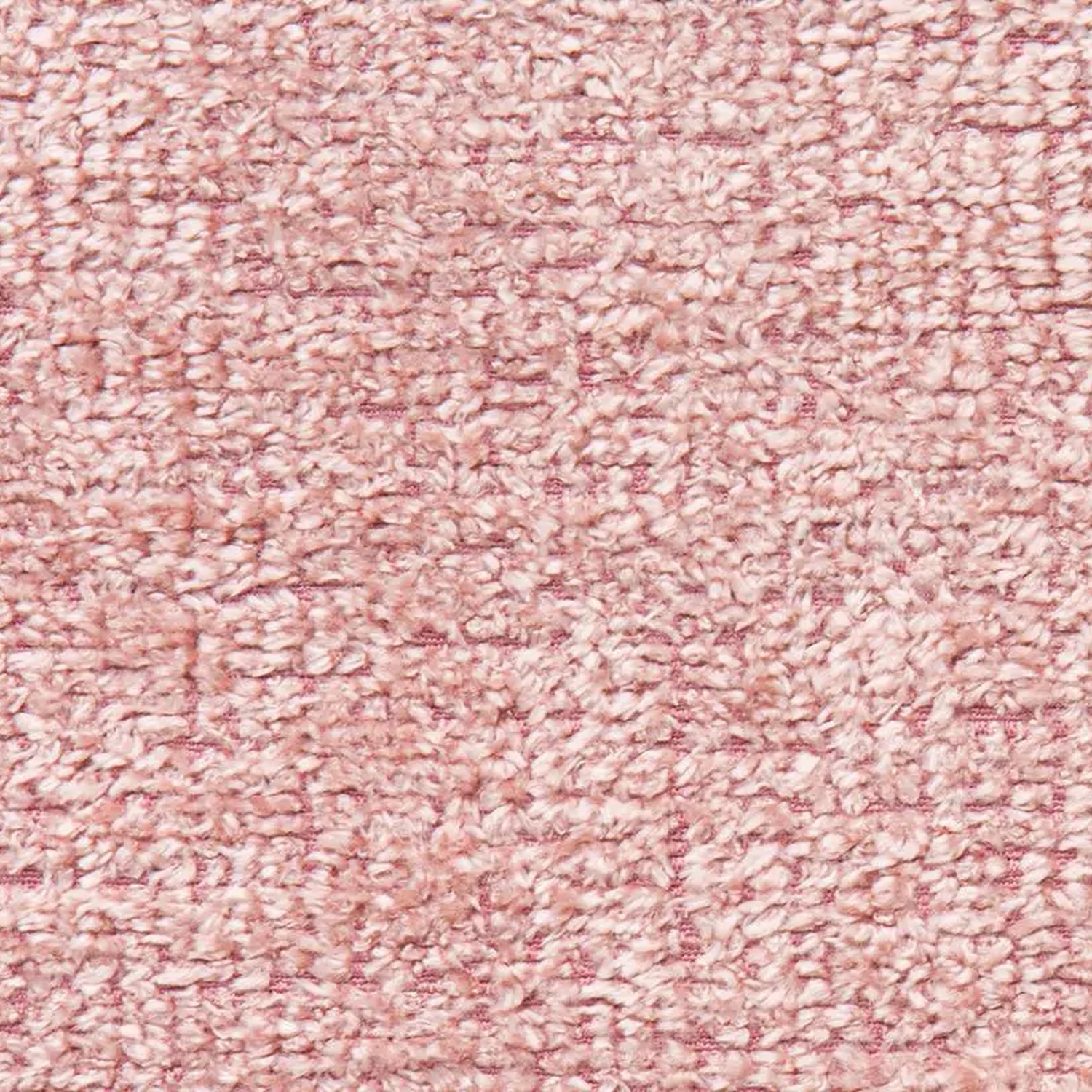 Lavender 40 | Breve