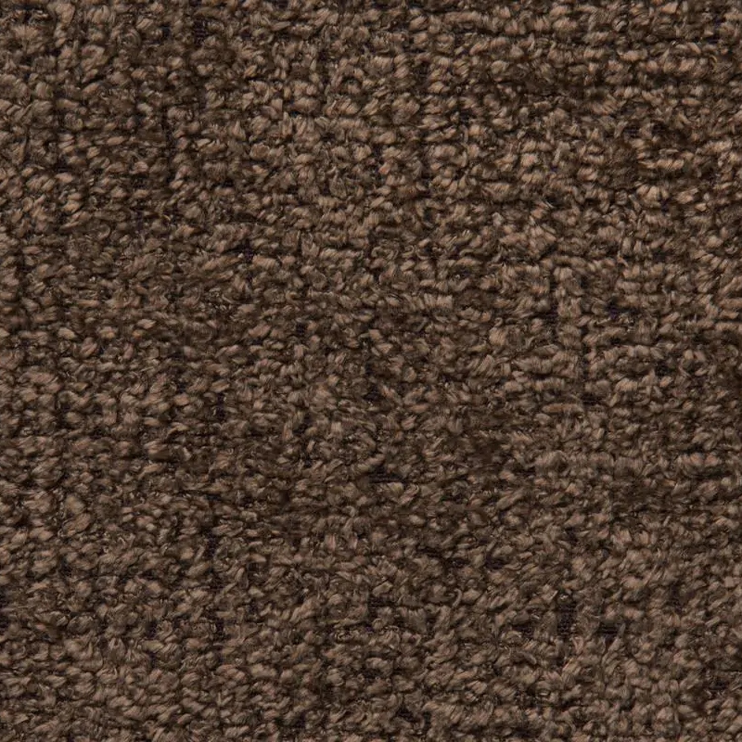 Juniper 43 | Breve