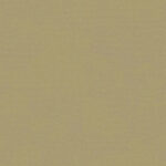 Olive Gray 331 | Brooke
