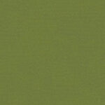 Apple Green 337 | Brooke