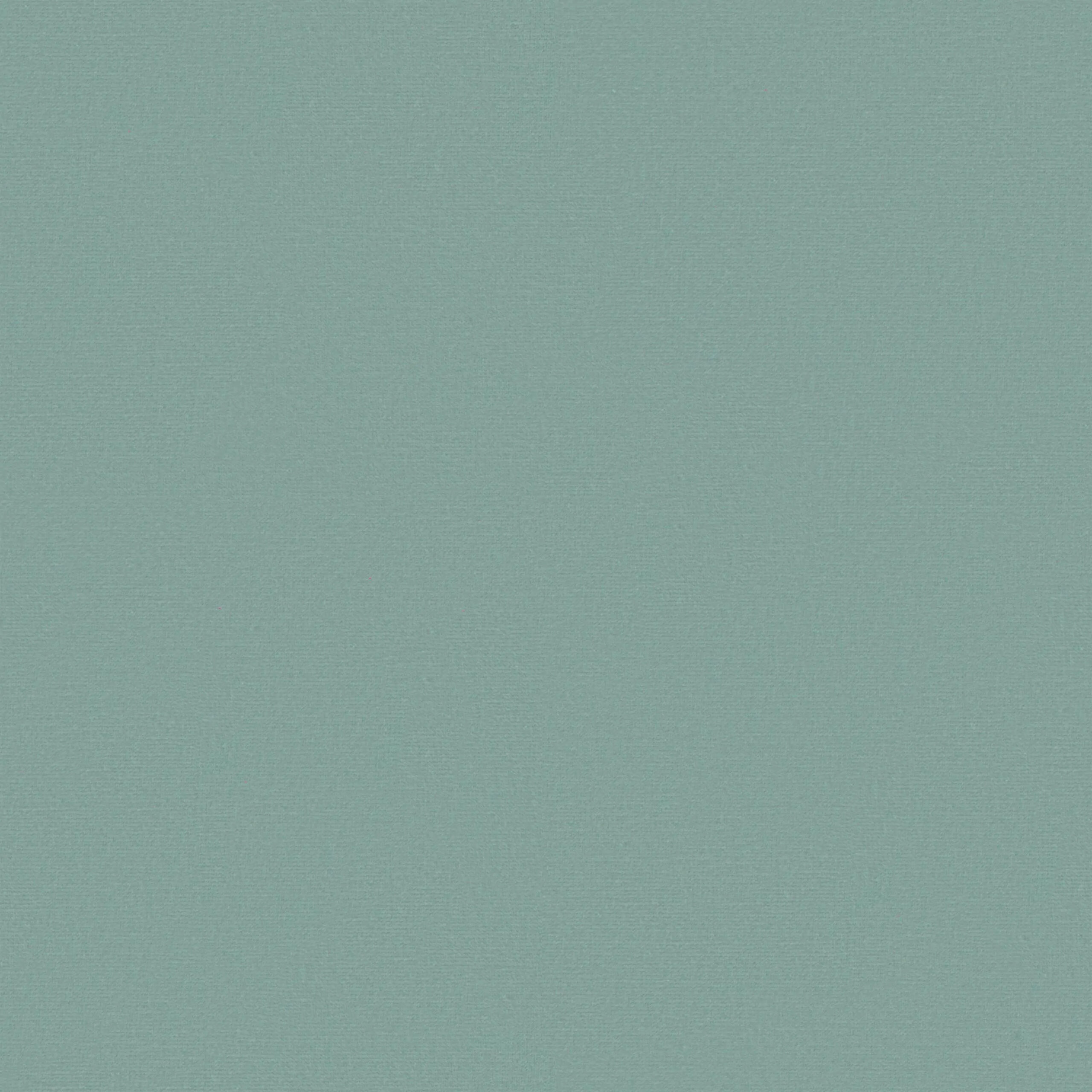 Celadon 341 | Brooke