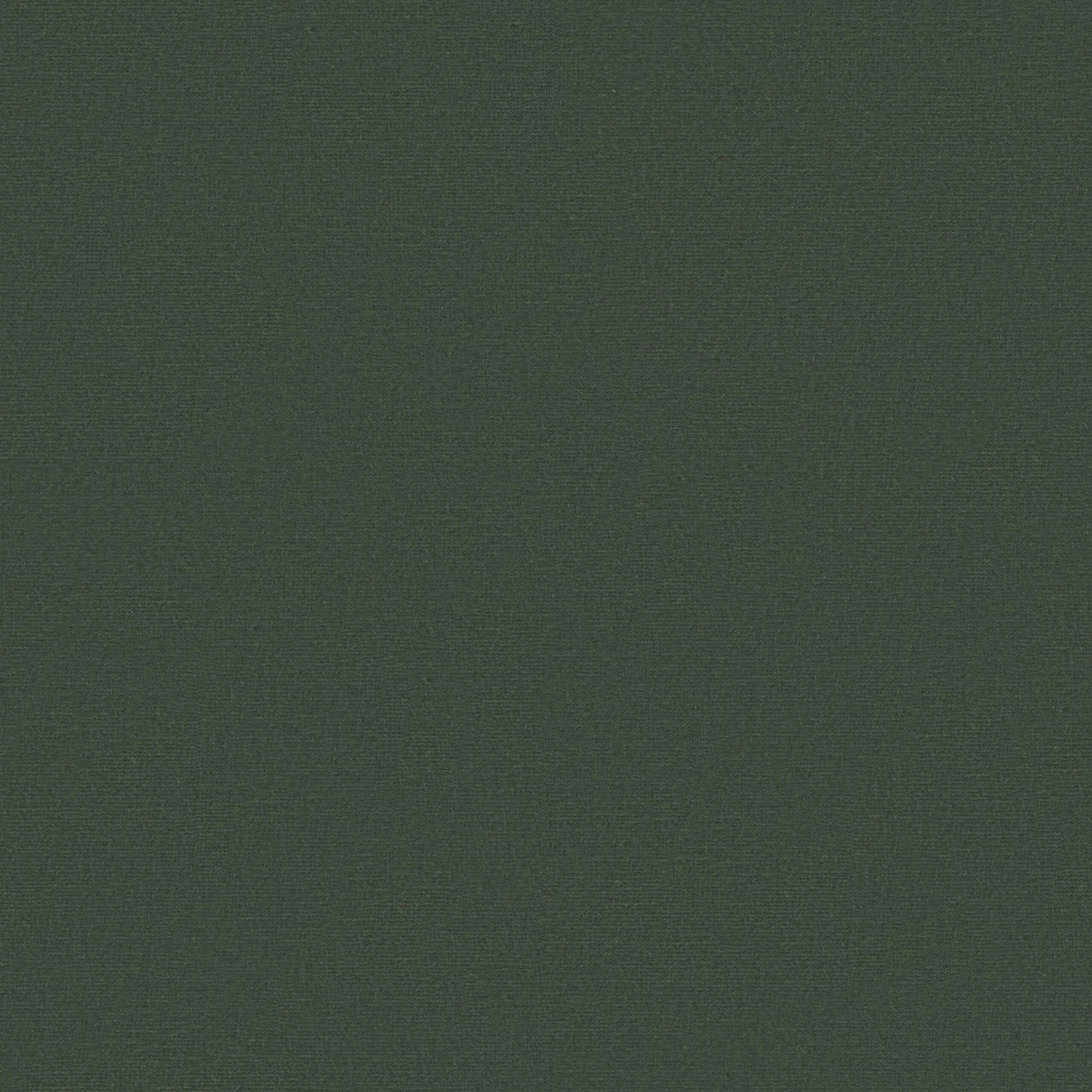 Juniper 360 | Brooke