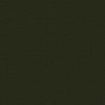 Olive 383 | Brooke