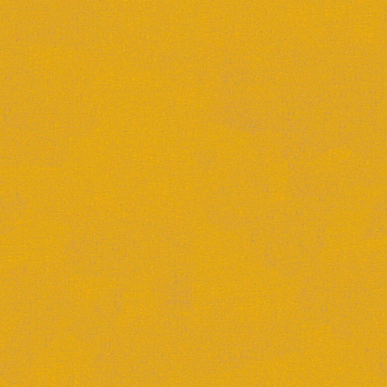 Maize 441