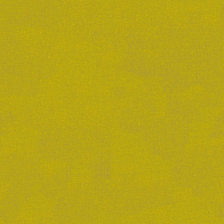 Yellow Endive 476