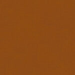 Burnt Orange 504 | Brooke