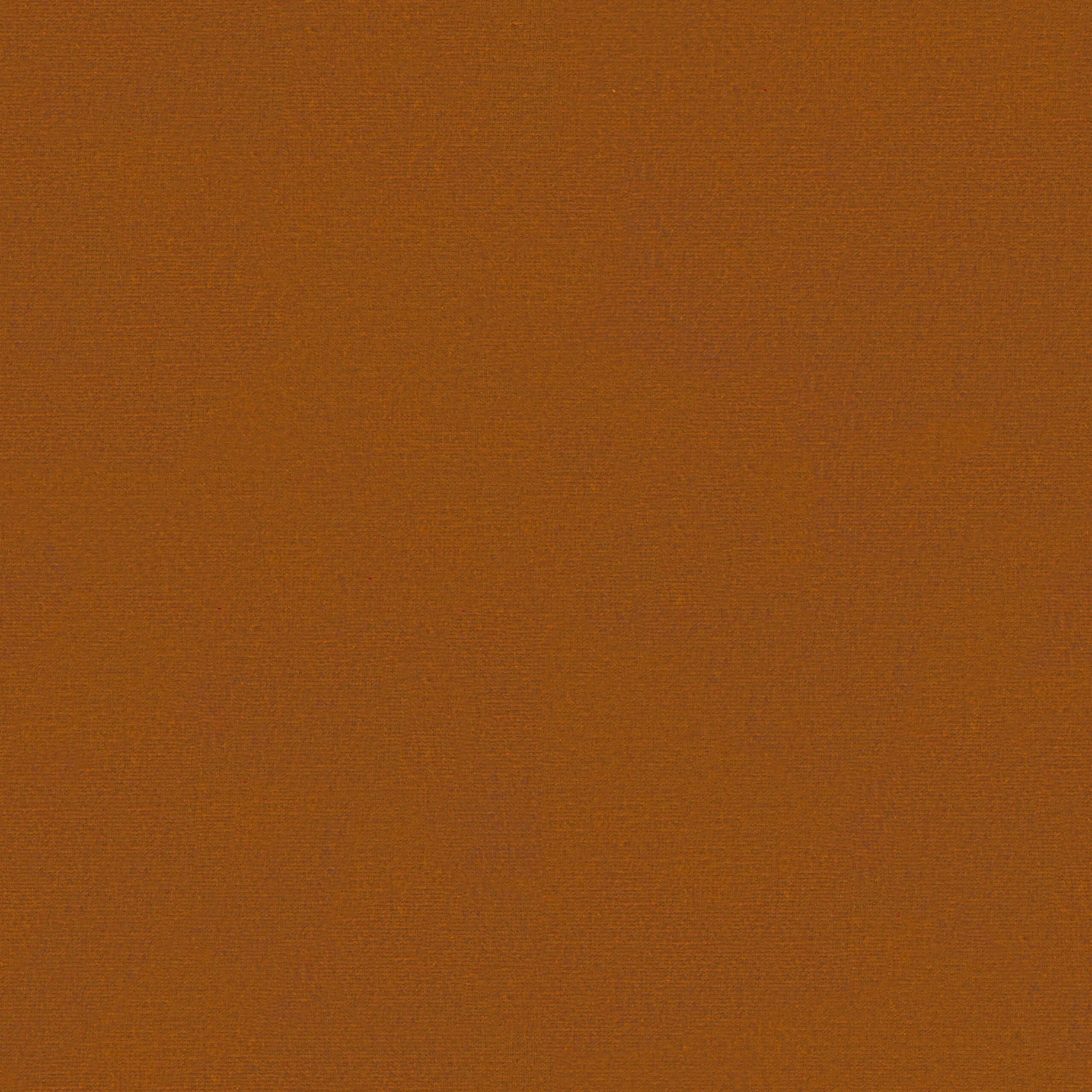 Burnt Orange 504 | Brooke