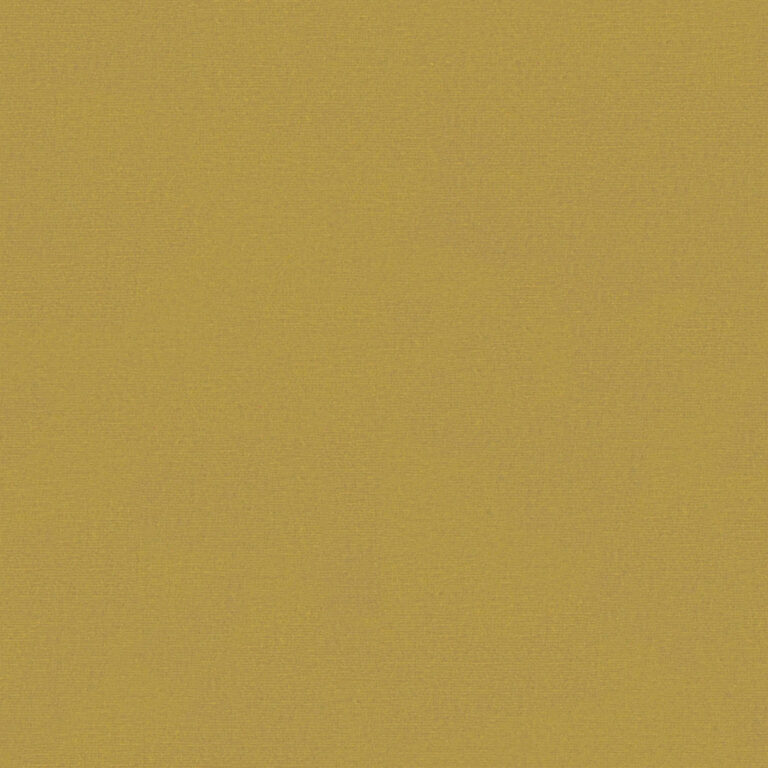 New Wheat 505