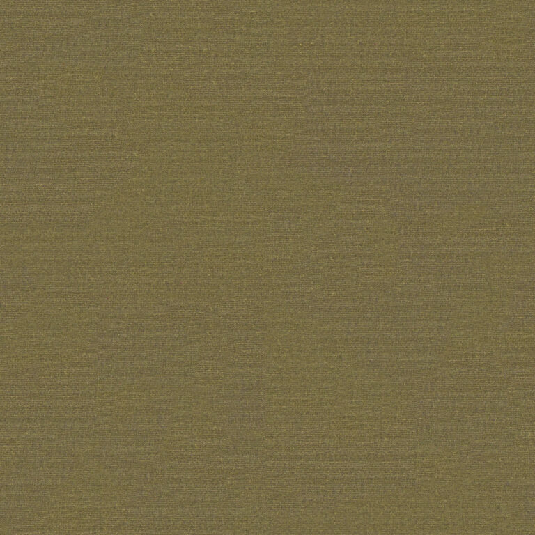 Kelp Brown  511