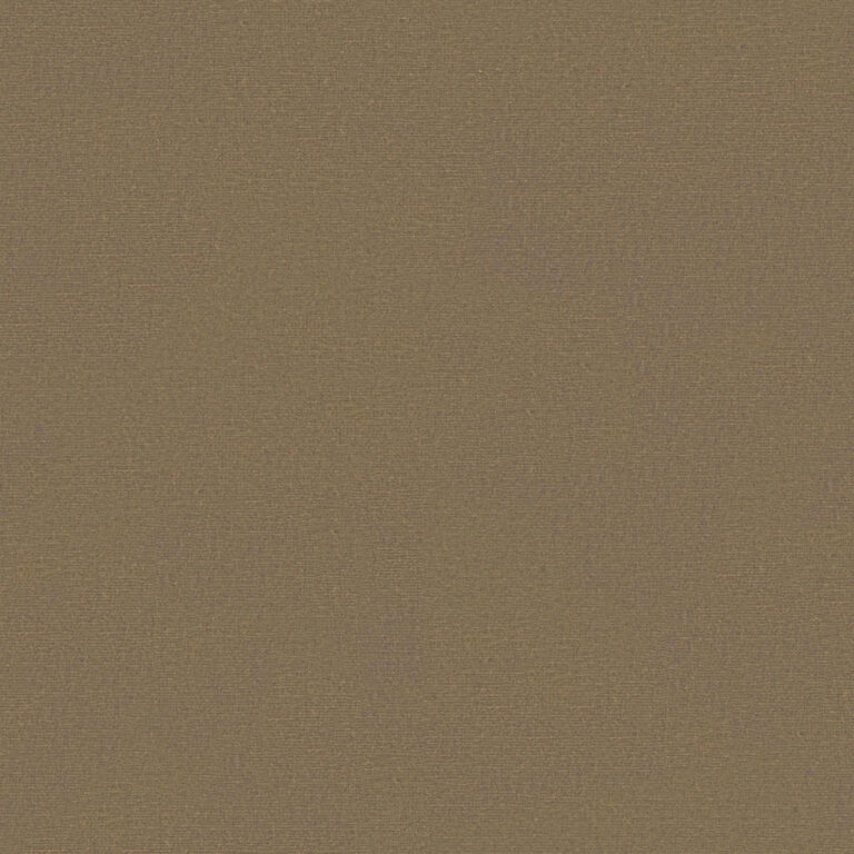 Plaza Taupe 513