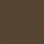 Dachshund 522 | Brooke