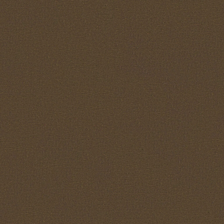 Dachshund 522