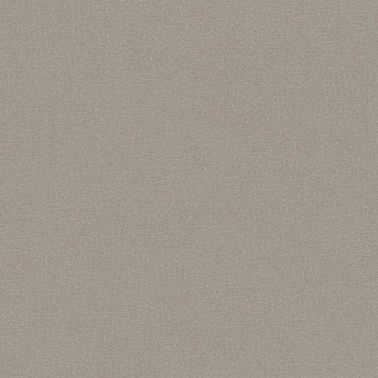 Silver Taupe 610