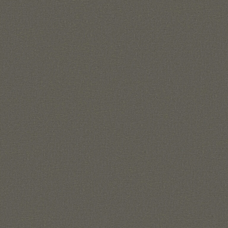 Elephant Skin 667